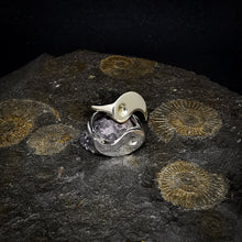 Load image into Gallery viewer, Balance - Yin Yang Tao Stacker - philologa